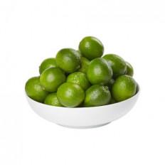 Product thumb gallery 13